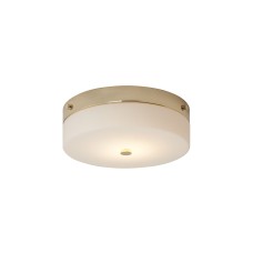 Потолочный светильник для ванных комнат TAMAR-F-L-PG