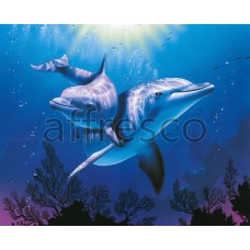 Романтичные дельфины,  арт. 5103