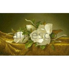 Картина: Martin Johnson Heade, Magnolias on Gold Velvet Cloth