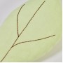 Набор Daney из 3 подушек в форме листьев из органического хлопка, сертифицированного GOTS, розового,