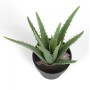 Искусственное растение Aloe Vera с черным цветочным горшком 36 см